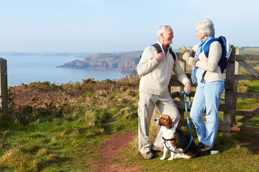 Retraité , quel est le déroulement d'une garde d'animaux au domicile du propriétaire selon Ani Seniors Services