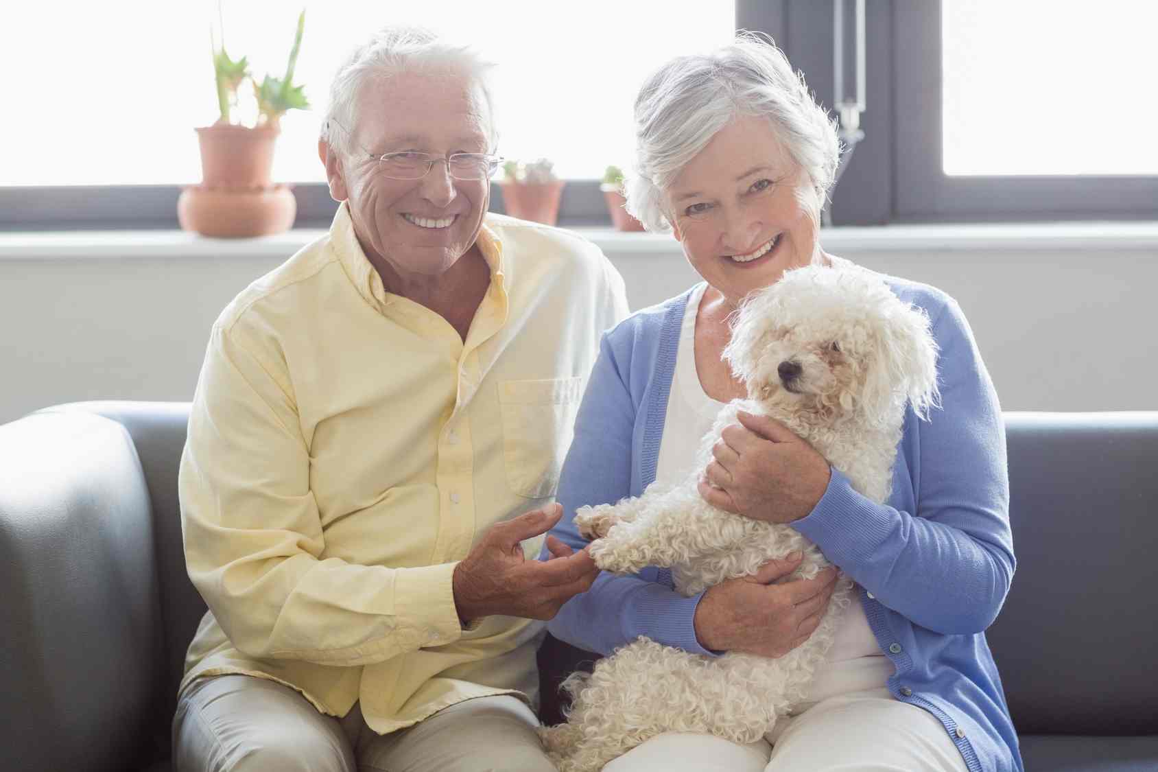 Ani Seniors Services, garde d'animaux à domicile par des retraités (nos seniors)