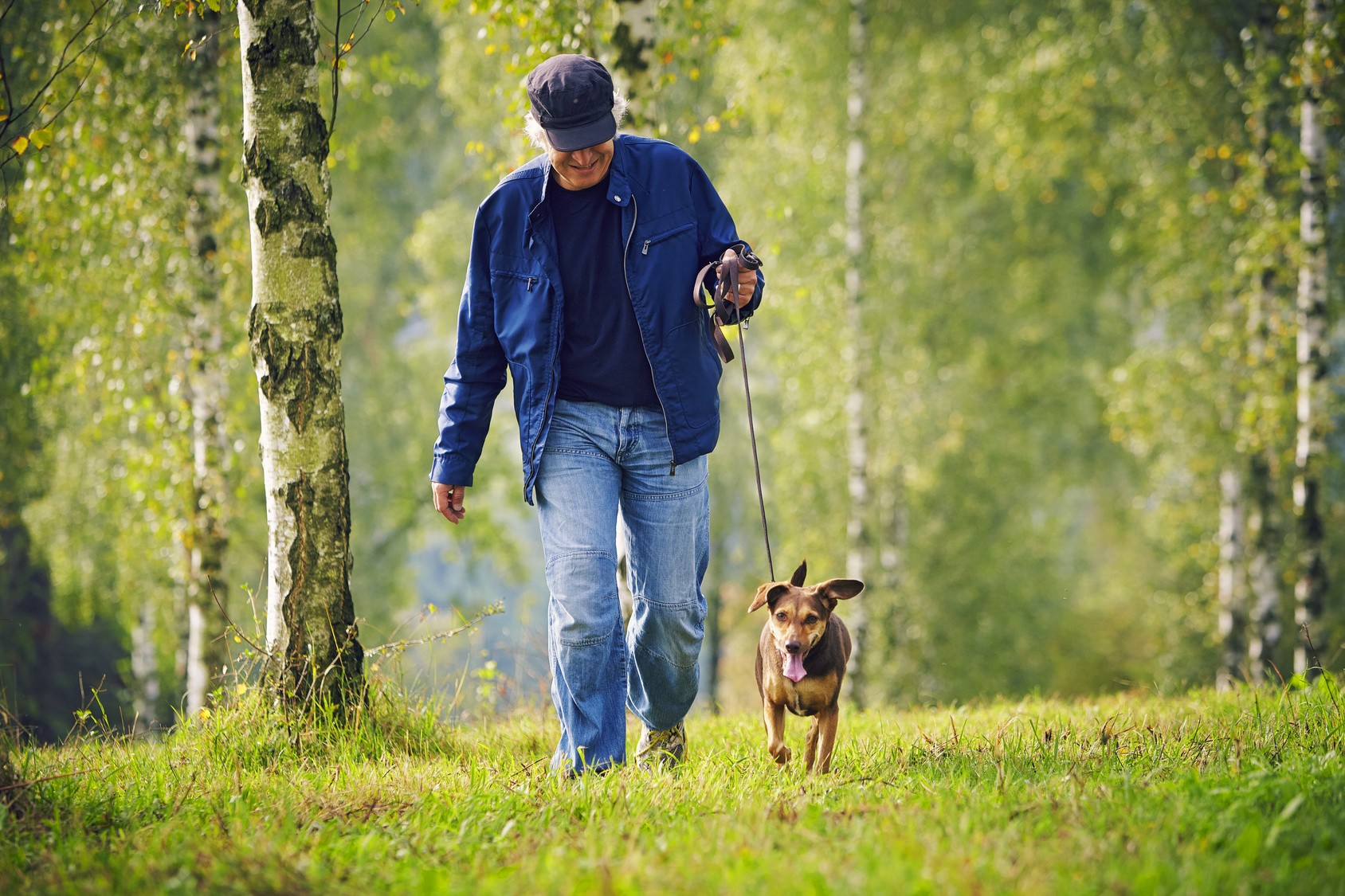 Ani Seniors Services, garde d'animaux à domicile par des retraités (nos seniors)