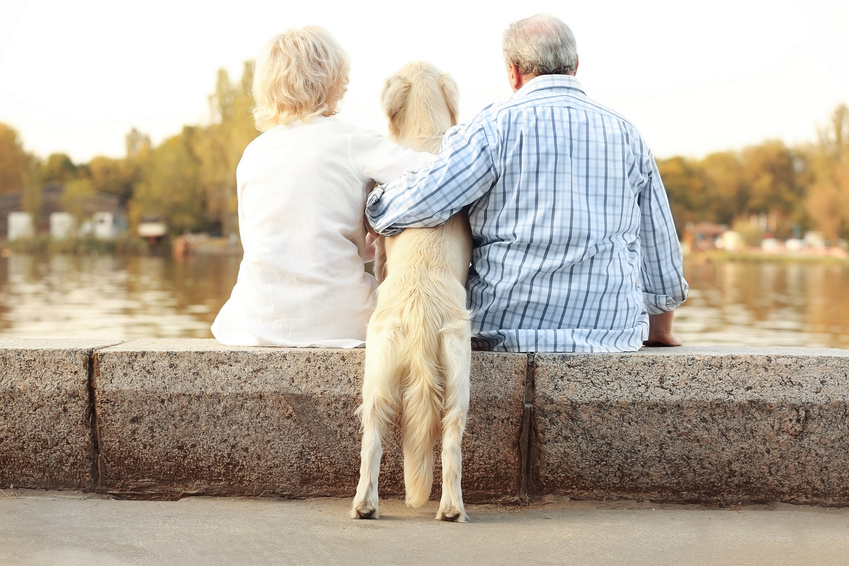 Ani Seniors Services, garde d'animaux à domicile par des retraités